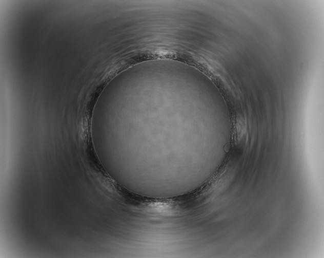 X0000088690236200705311202