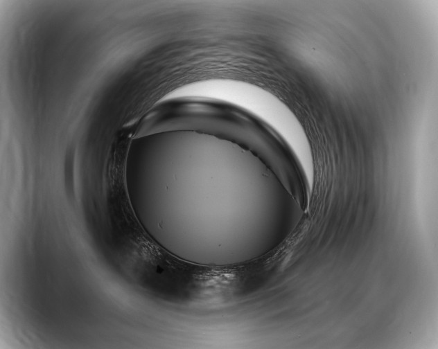 X0000088690239200705311202