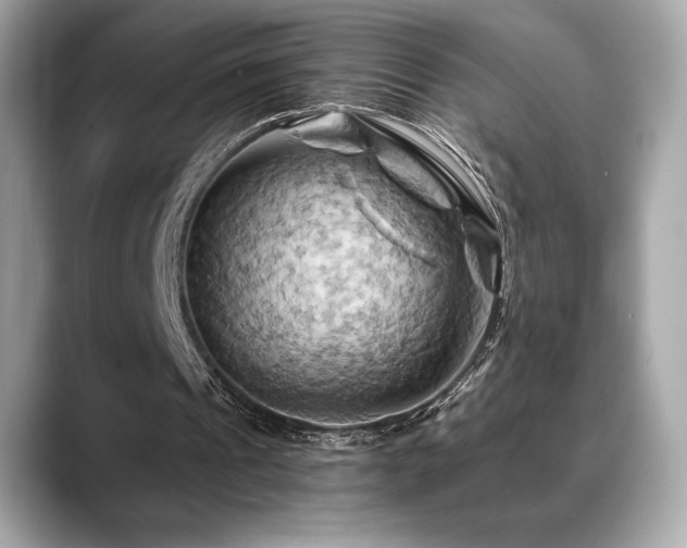 X0000088690241200705311201