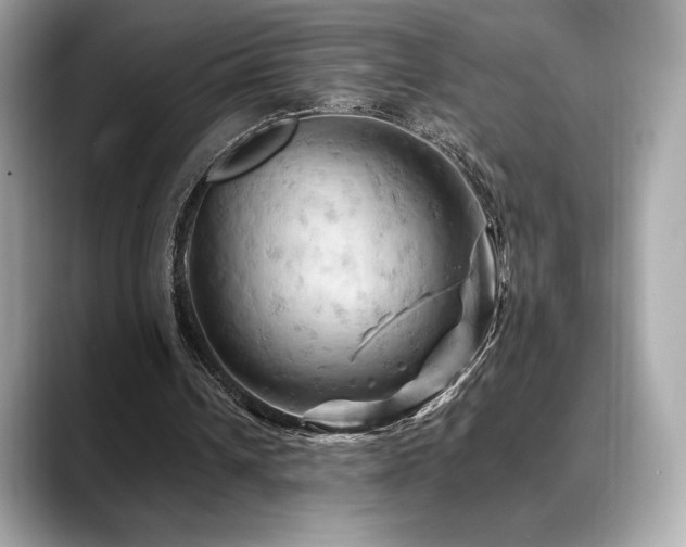 X0000088690242200705311201