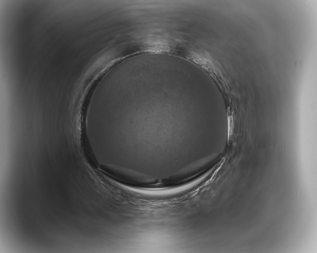 X0000088690243200705311201
