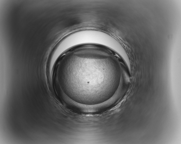 X0000088690244200705311201