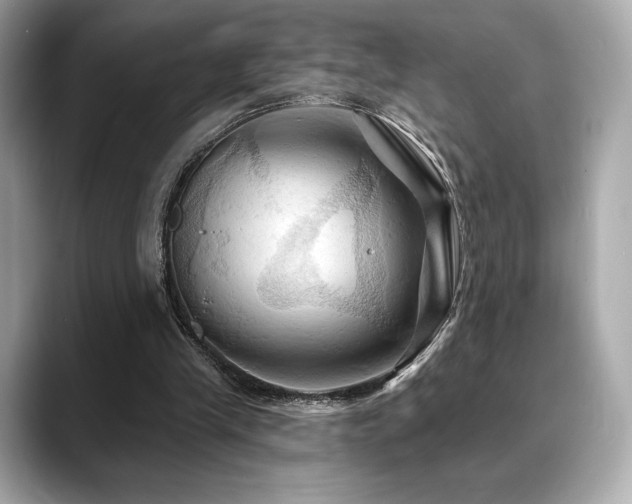 X0000088690245200705311201