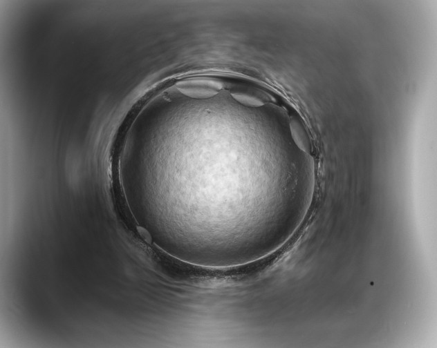 X0000088690246200705311202