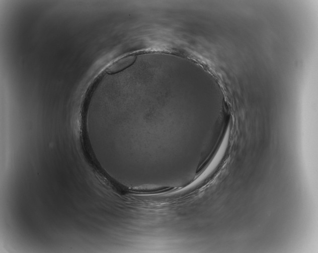 X0000088690247200705311202