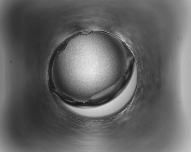 X0000088690248200705311202