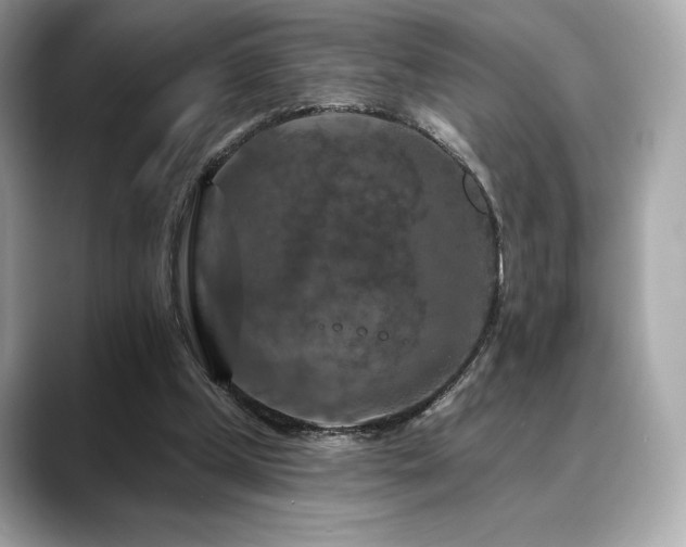 X0000088690249200705311202
