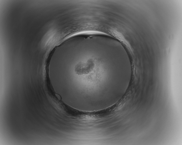 X0000088690250200705311202