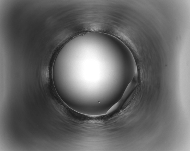 X0000088690251200705311202