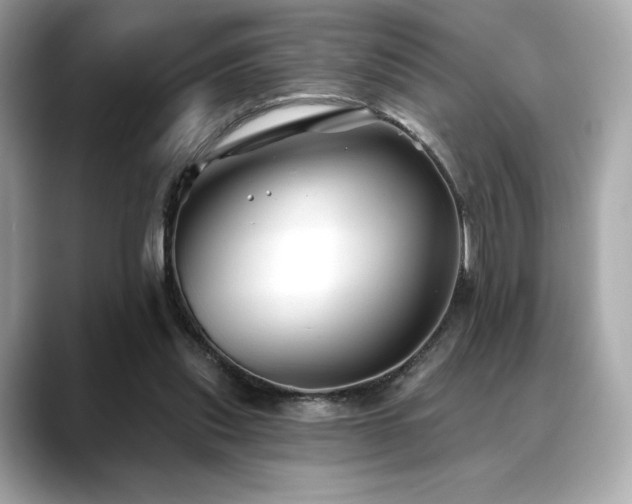 X0000088690253200705311202
