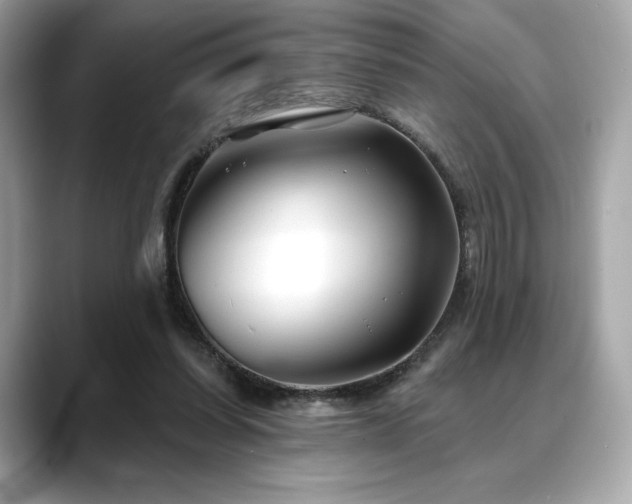 X0000088690254200705311202