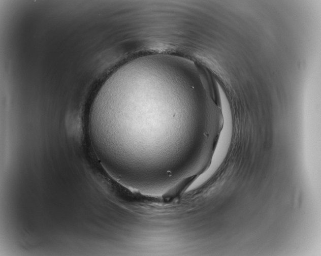 X0000088690256200705311202
