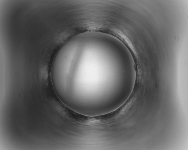 X0000088690257200705311202