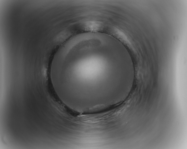 X0000088690258200705311202