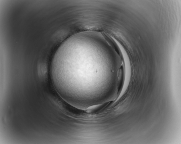 X0000088690260200705311202