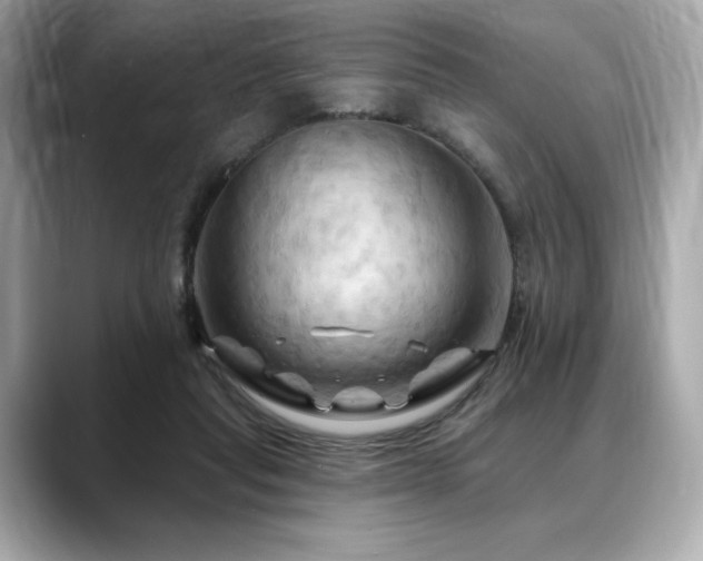 X0000088690261200705311202