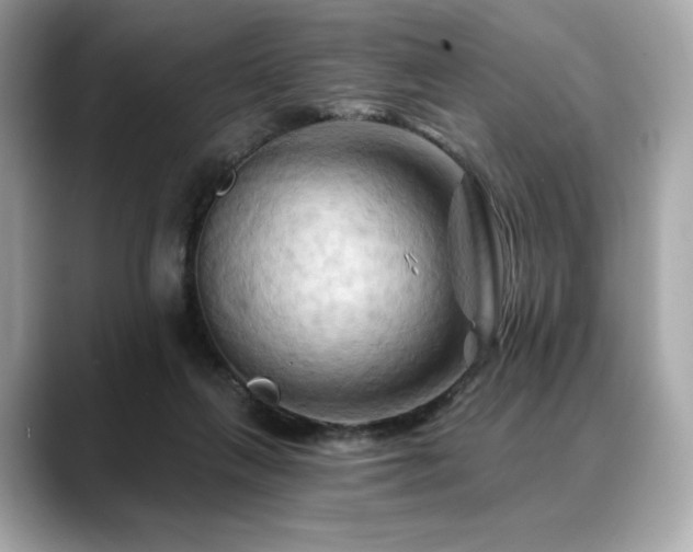 X0000088690263200705311202