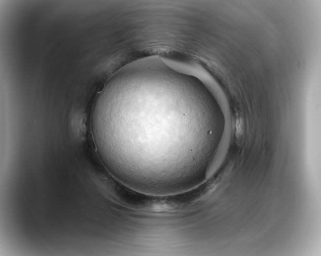 X0000088690264200705311202