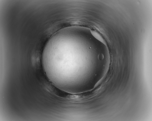 X0000088690265200705311202