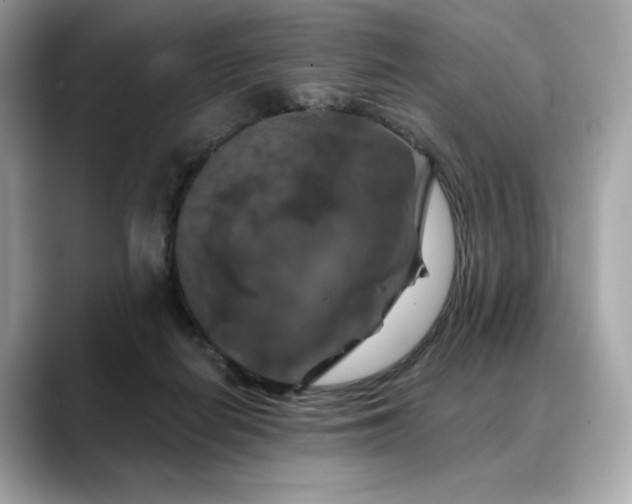 X0000088690266200705311202