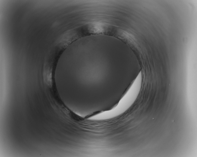 X0000088690267200705311202