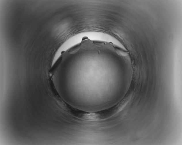 X0000088690269200705311202