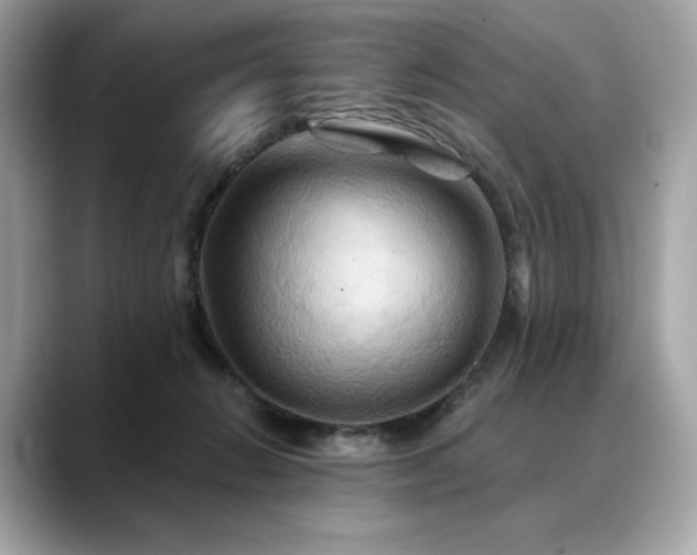 X0000088690270200705311202
