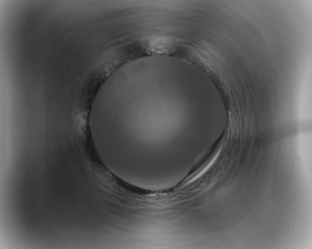 X0000088690271200705311202