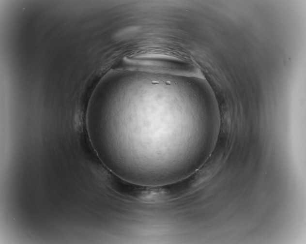 X0000088690274200705311202