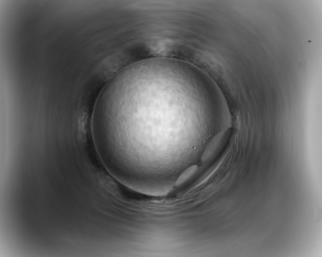 X0000088690275200705311202