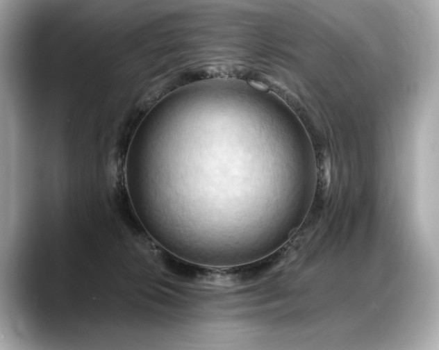 X0000088690276200705311202