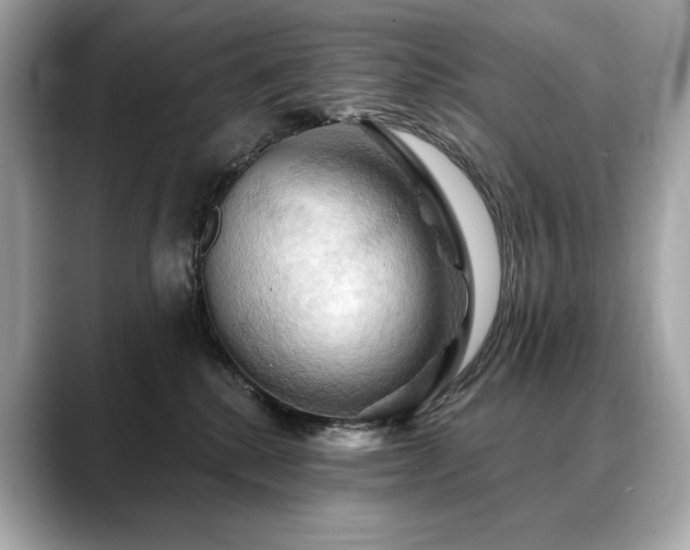 X0000088690280200705311202