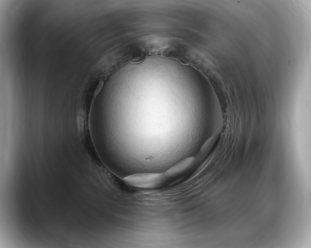 X0000088690283200705311202