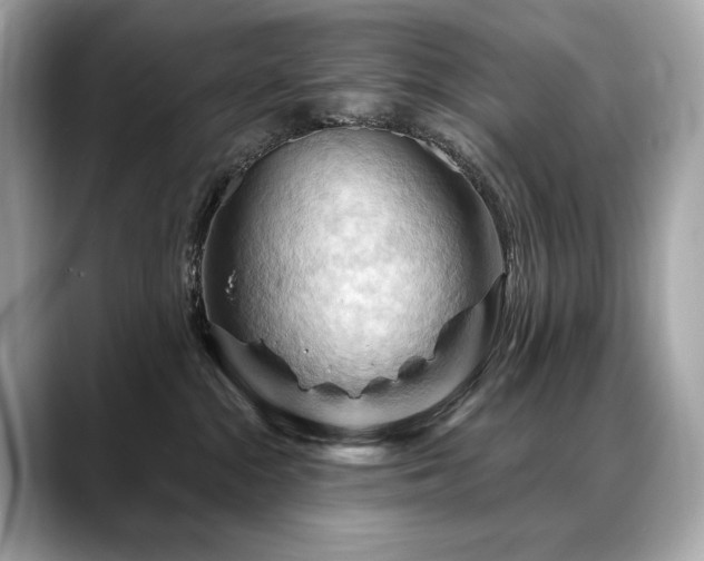 X0000088690284200705311202