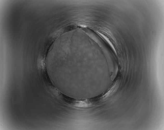 X0000088690285200705311202