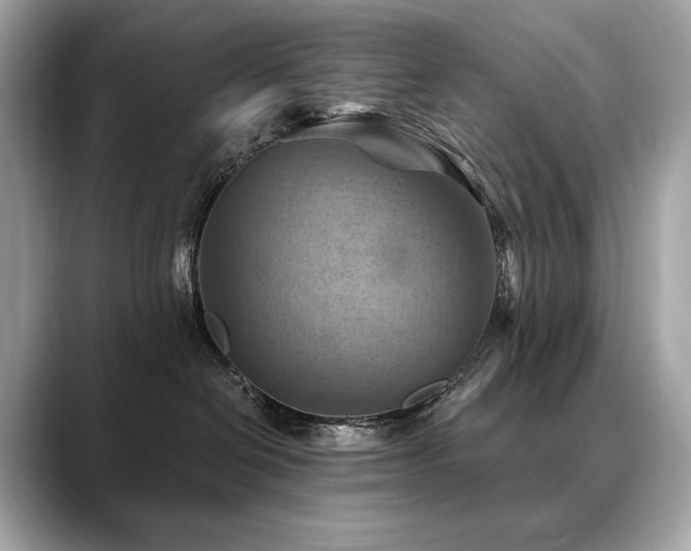 X0000088690286200705311202