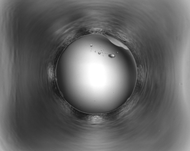 X0000088690287200705311202