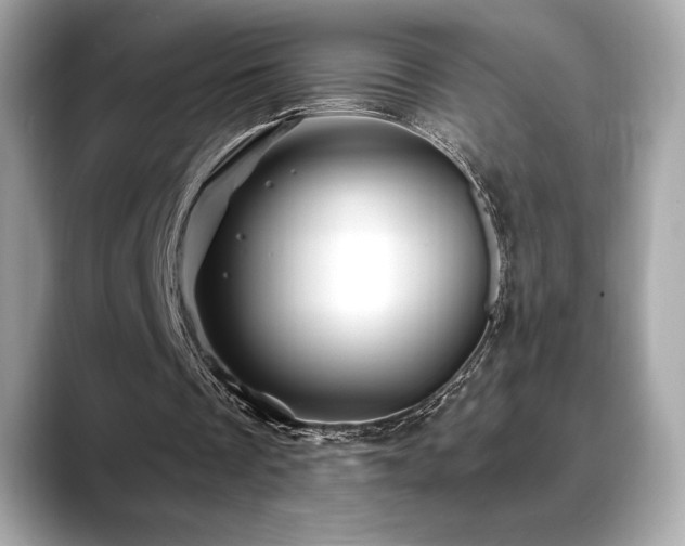 X0000088690289200705311201