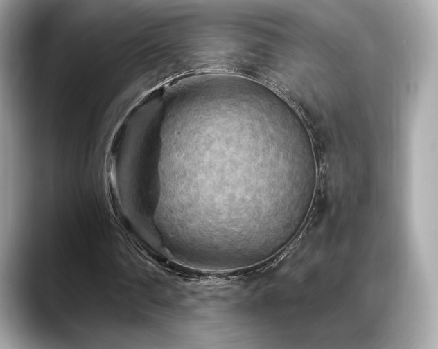 X0000088690290200705311201