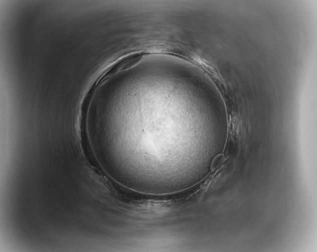 X0000088690292200705311201