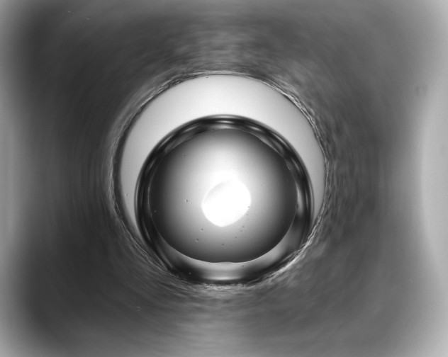 X0000088690293200705311201