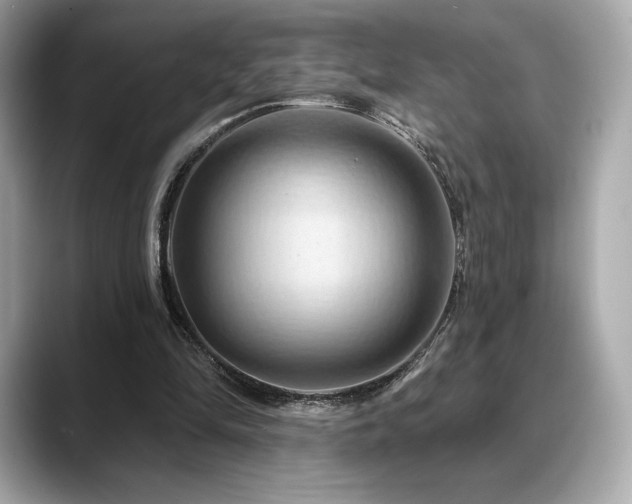 X0000088690294200705311201