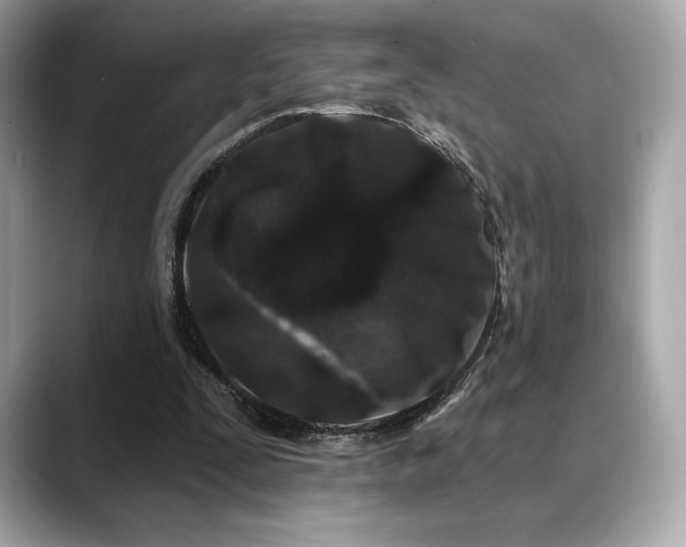 X0000088690295200705311201