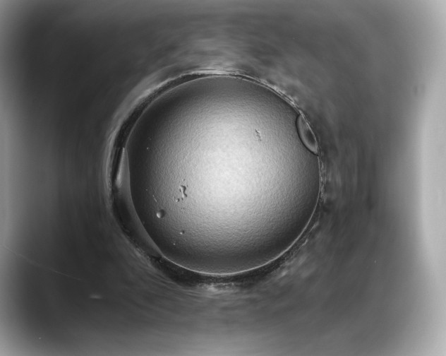 X0000088690296200705311201