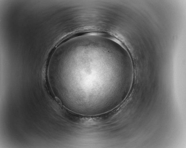 X0000088690297200705311201