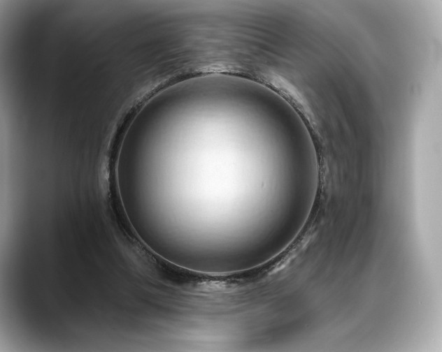 X0000088690298200705311201