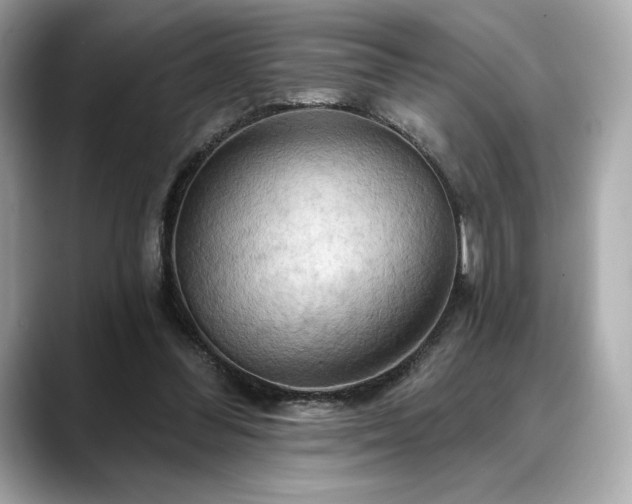 X0000088690300200705311201