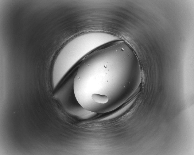 X0000088690301200705311201
