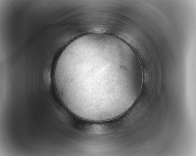 X0000088690302200705311201