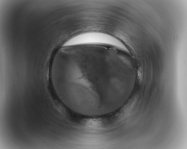X0000088690303200705311201